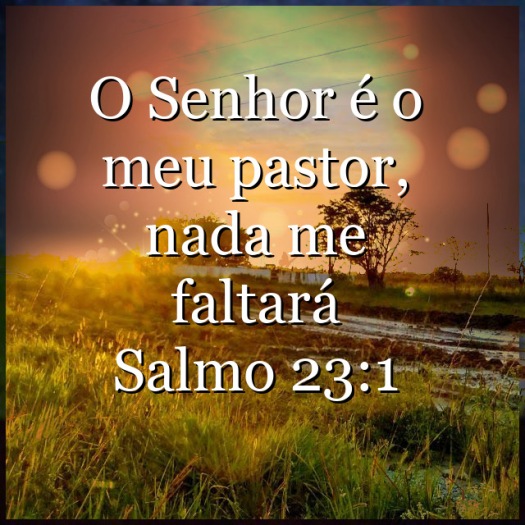 Salmo 23: O Senhor é Meu Pastor 